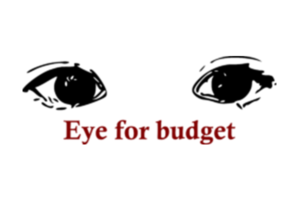 Eye for budget